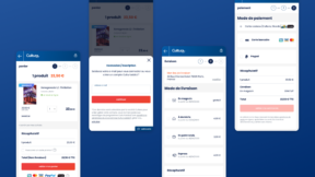 Cultura : montée en compétences sur la data et le CRO (optimisation continue)